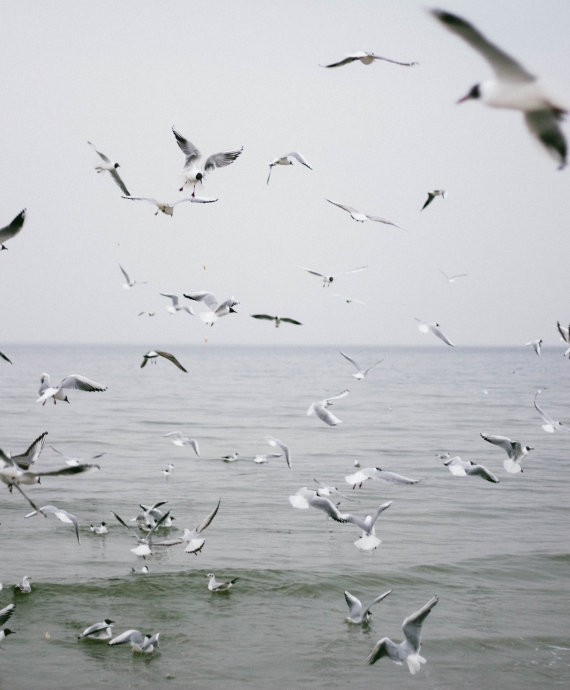 Environmental protection